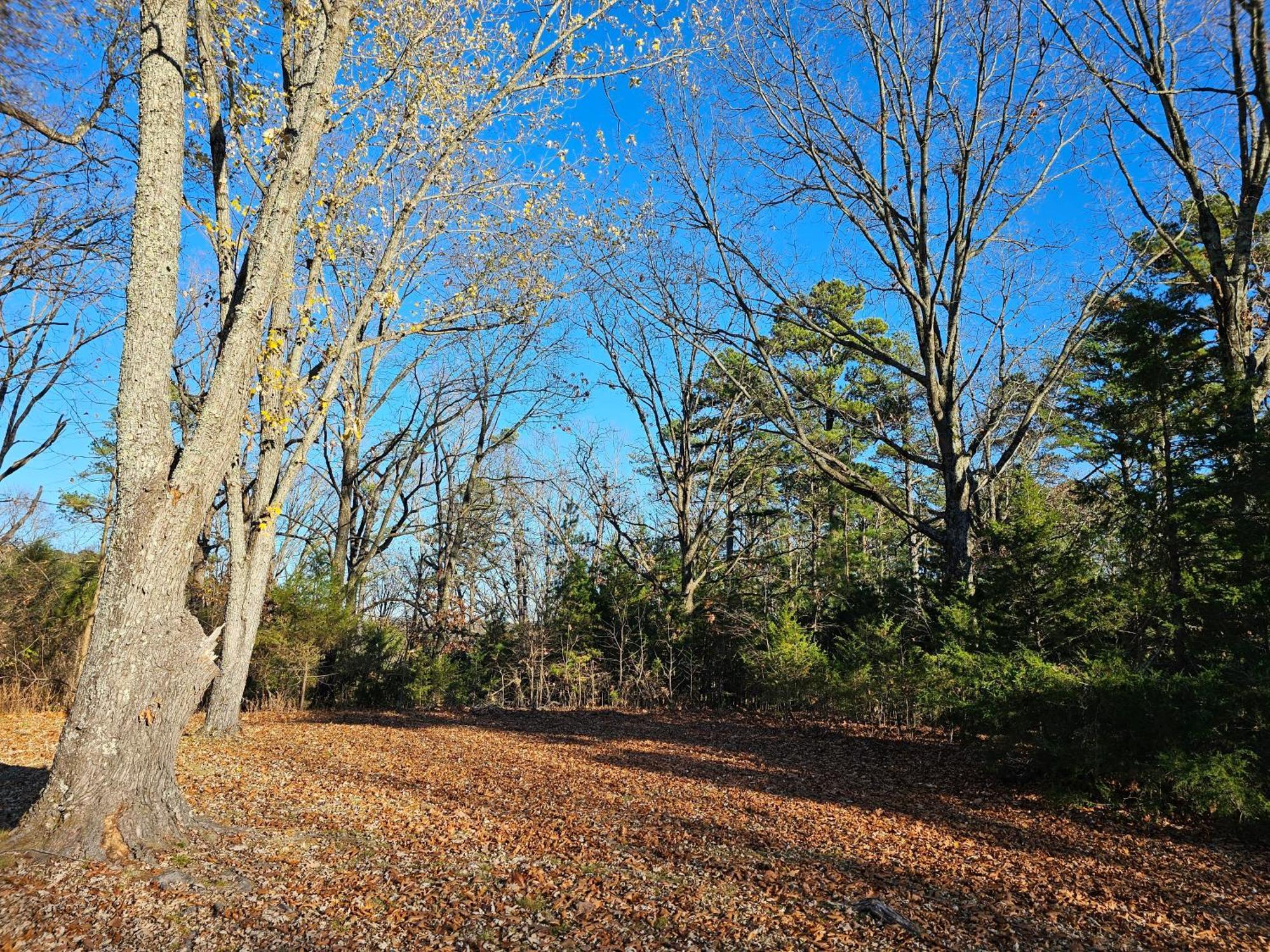5 Min To Beaver Lake-King Bed-Fire Pit-Jetted Tub #3 Eureka Springs Exterior foto